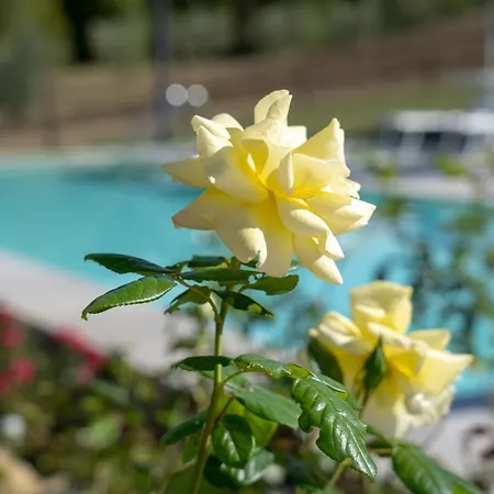 Farmház Montelovesco *